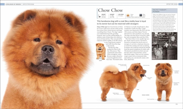 Dog Encyclopedia