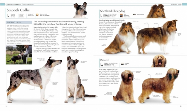 Dog Encyclopedia