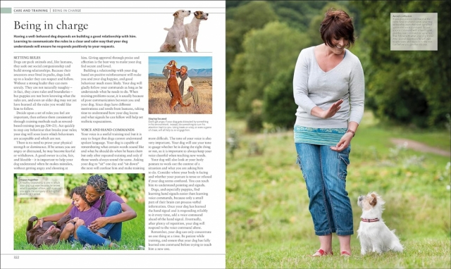 Dog Encyclopedia