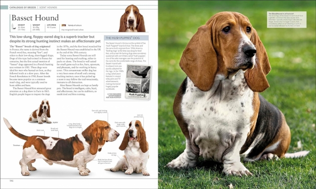 Dog Encyclopedia
