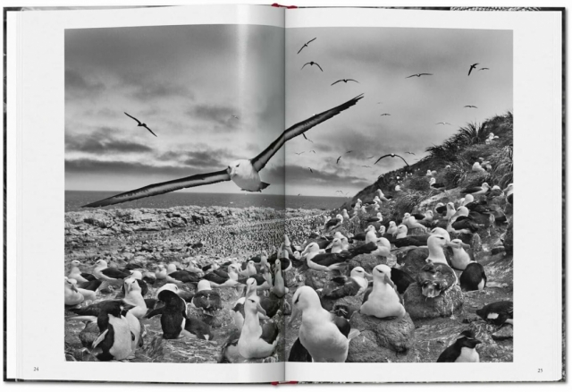 Genesis Sebastiao Salgado