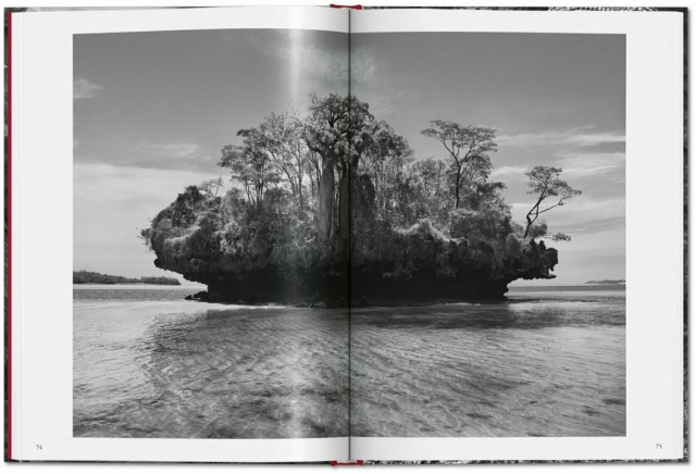 Genesis Sebastiao Salgado