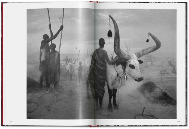 Genesis Sebastiao Salgado
