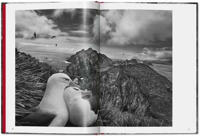 Genesis Sebastiao Salgado