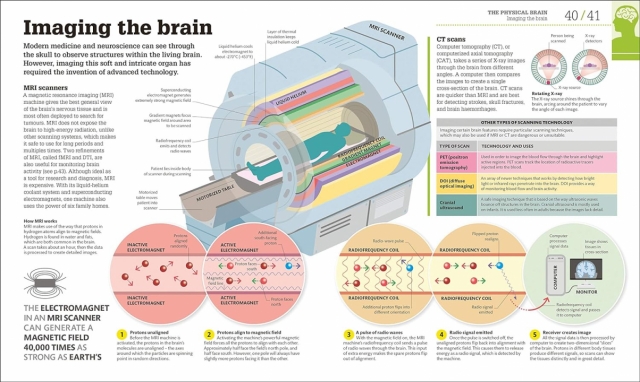 How The Brain Works